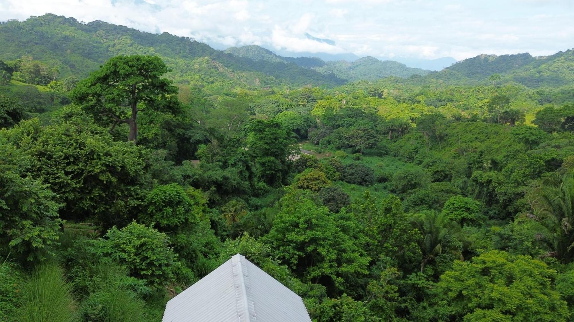 La Mona Eco Cabins 팔로미노 외부 사진